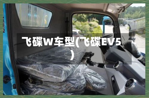 飞碟W车型(飞碟EV5)