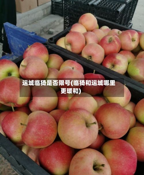 运城临猗是否限号(临猗和运城哪里更暖和)-第3张图片