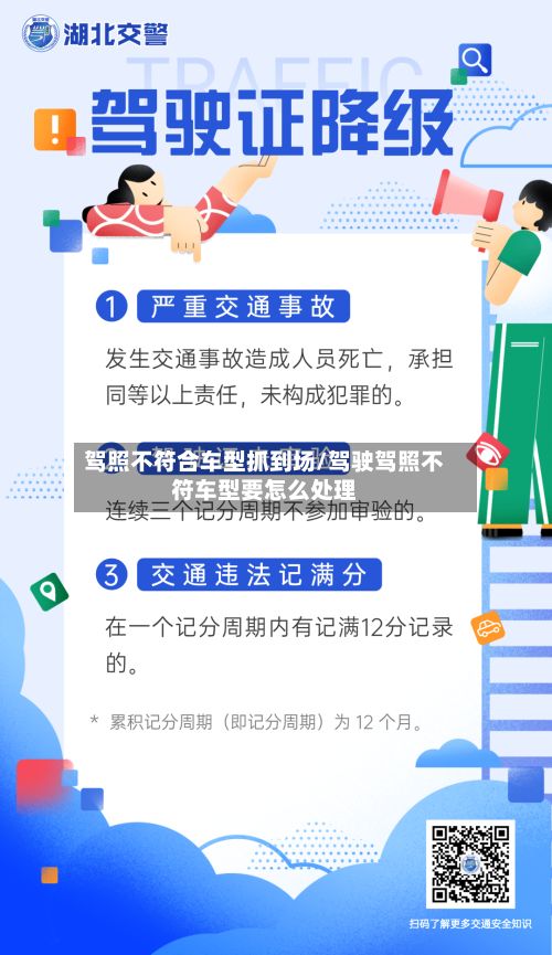 驾照不符合车型抓到场/驾驶驾照不符车型要怎么处理-第2张图片