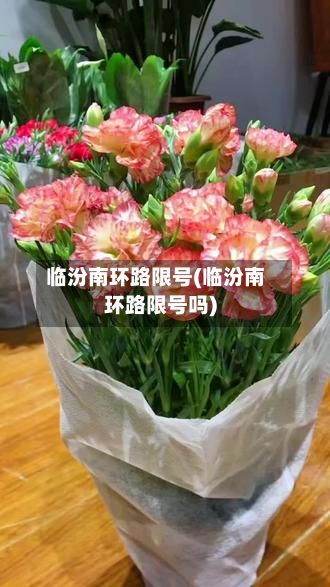 临汾南环路限号(临汾南环路限号吗)-第2张图片