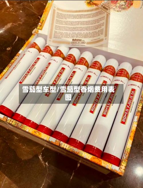 雪茄型车型/雪茄型香烟费用表图-第3张图片