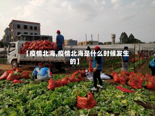 【疫情北海,疫情北海是什么时候发生的】-第2张图片