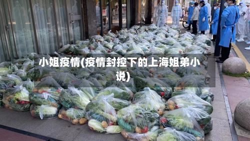 小姐疫情(疫情封控下的上海姐弟小说)