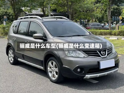 骊威是什么车型(骊威是什么变速箱)