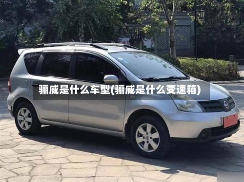 骊威是什么车型(骊威是什么变速箱)-第2张图片