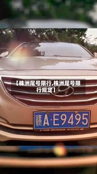 【株洲尾号限行,株洲尾号限行规定】