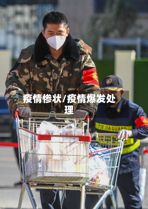 疫情惨状/疫情爆发处理