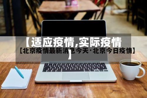 【适应疫情,实际疫情】-第3张图片