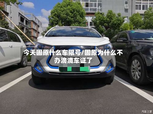 今天固原什么车限号/固原为什么不办滴滴车证了-第2张图片