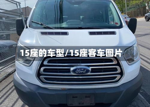 15座的车型/15座客车图片-第2张图片