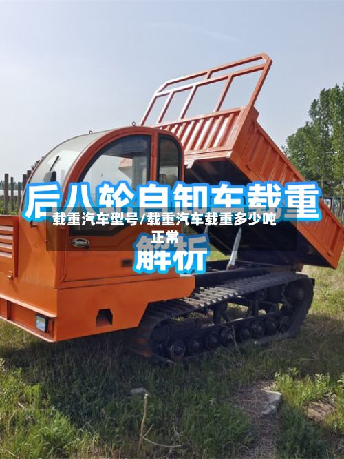 载重汽车型号/载重汽车载重多少吨正常-第3张图片