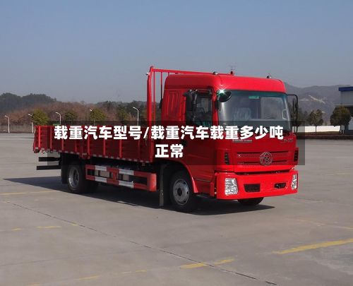 载重汽车型号/载重汽车载重多少吨正常
