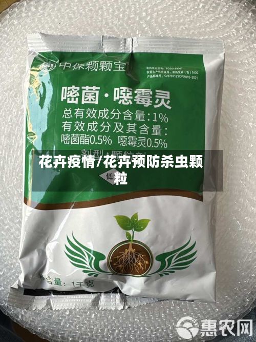 花卉疫情/花卉预防杀虫颗粒