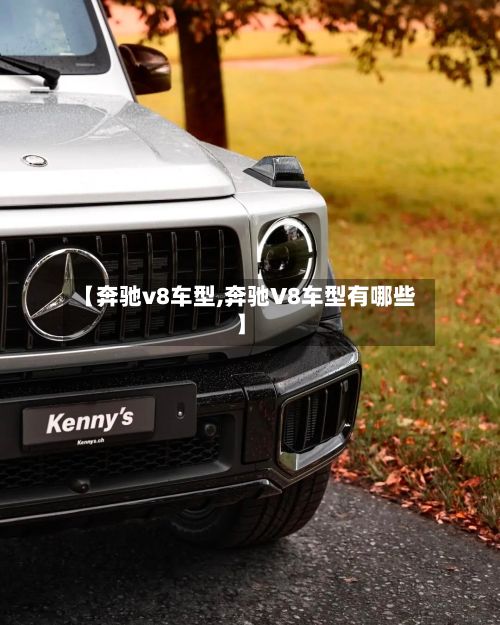 【奔驰v8车型,奔驰V8车型有哪些】-第2张图片