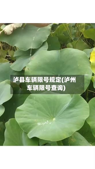 泸县车辆限号规定(泸州车辆限号查询)
