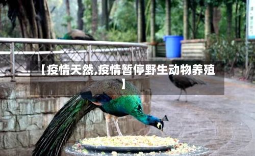 【疫情天然,疫情暂停野生动物养殖】-第2张图片