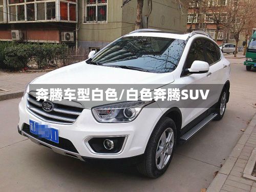 奔腾车型白色/白色奔腾SUV