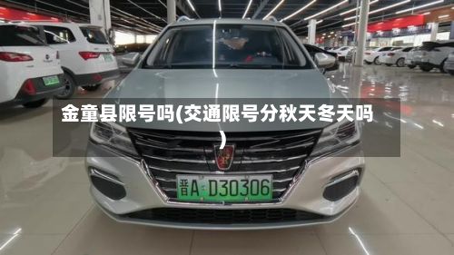 金童县限号吗(交通限号分秋天冬天吗)