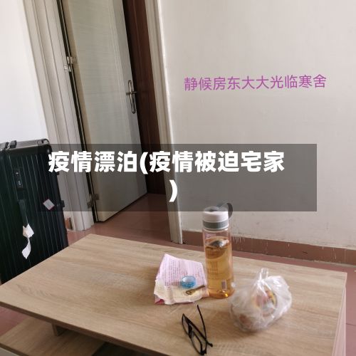 疫情漂泊(疫情被迫宅家)-第3张图片