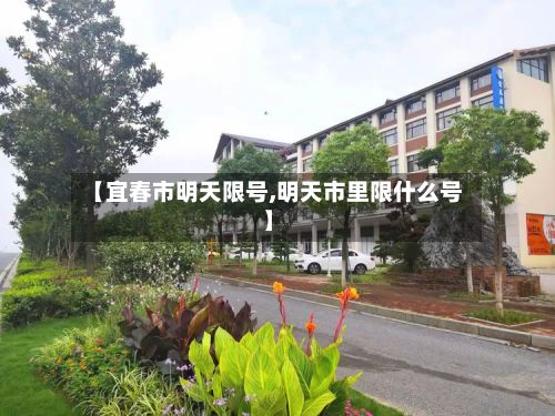 【宜春市明天限号,明天市里限什么号】-第2张图片