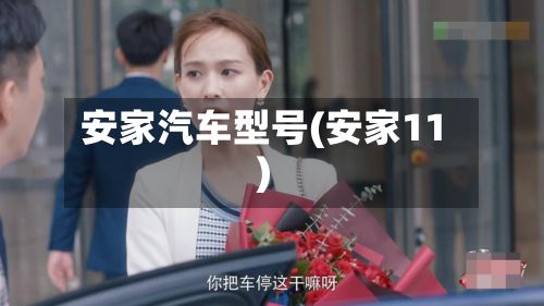 安家汽车型号(安家11)