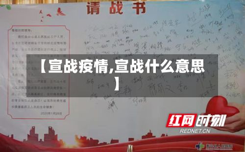 【宣战疫情,宣战什么意思】
