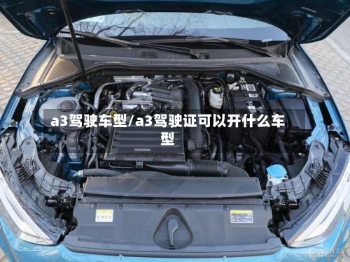 a3驾驶车型/a3驾驶证可以开什么车型