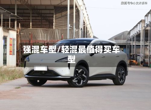 强混车型/轻混最值得买车型