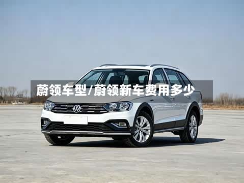 蔚领车型/蔚领新车费用多少