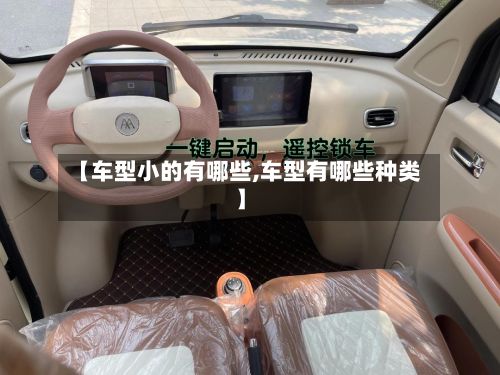 【车型小的有哪些,车型有哪些种类】