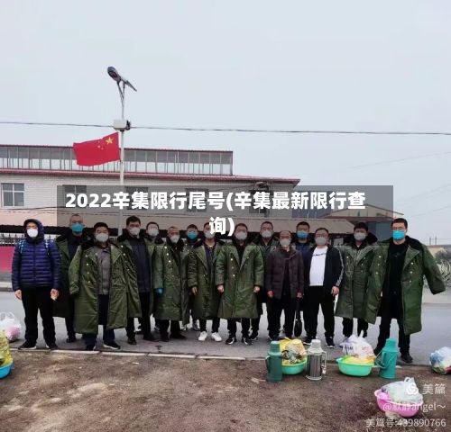 2022辛集限行尾号(辛集最新限行查询)-第3张图片
