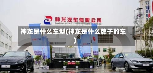 神龙是什么车型(神龙是什么牌子的车)