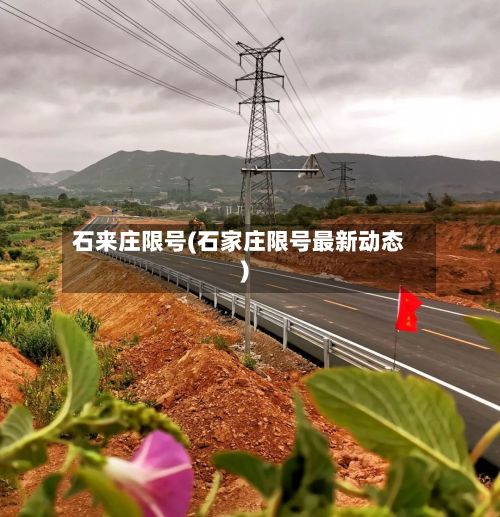 石来庄限号(石家庄限号最新动态)-第3张图片