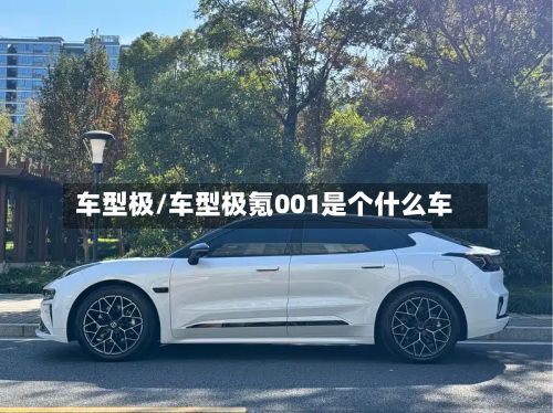 车型极/车型极氪001是个什么车