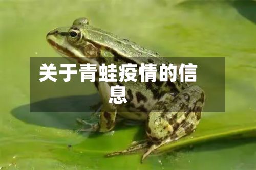 关于青蛙疫情的信息