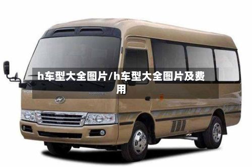 h车型大全图片/h车型大全图片及费用-第2张图片