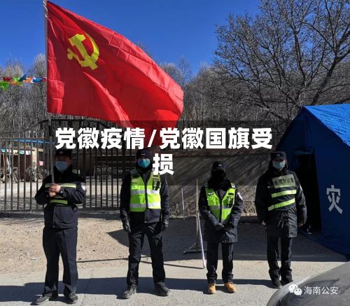 党徽疫情/党徽国旗受损-第2张图片