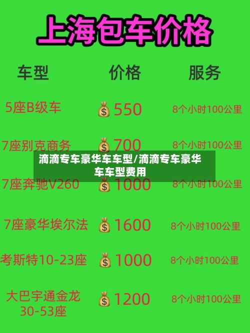 滴滴专车豪华车车型/滴滴专车豪华车车型费用
