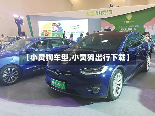 【小灵狗车型,小灵狗出行下载】-第2张图片