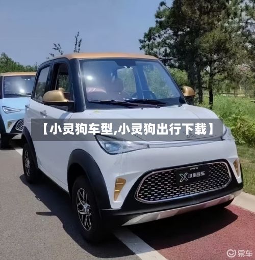 【小灵狗车型,小灵狗出行下载】