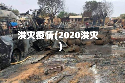 洪灾疫情(2020洪灾)-第2张图片