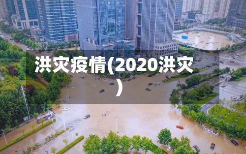 洪灾疫情(2020洪灾)