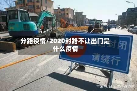 分路疫情/2020封路不让出门是什么疫情