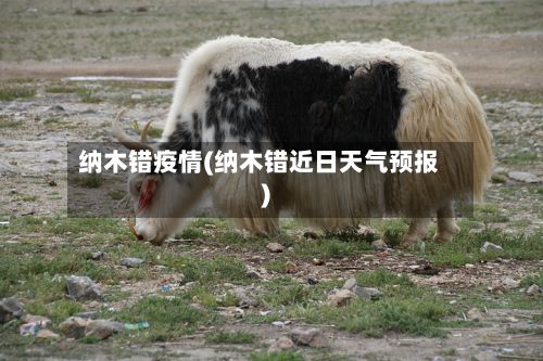 纳木错疫情(纳木错近日天气预报)-第2张图片