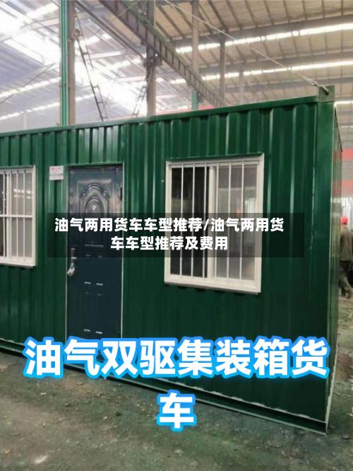 油气两用货车车型推荐/油气两用货车车型推荐及费用