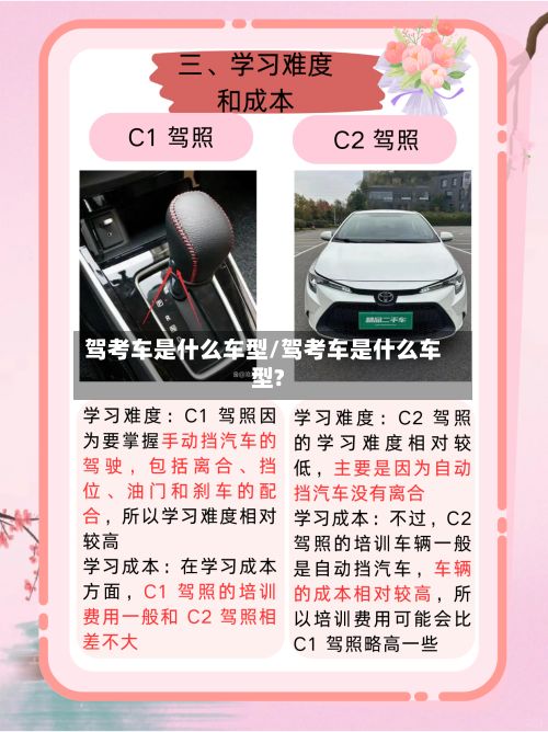 驾考车是什么车型/驾考车是什么车型?-第3张图片