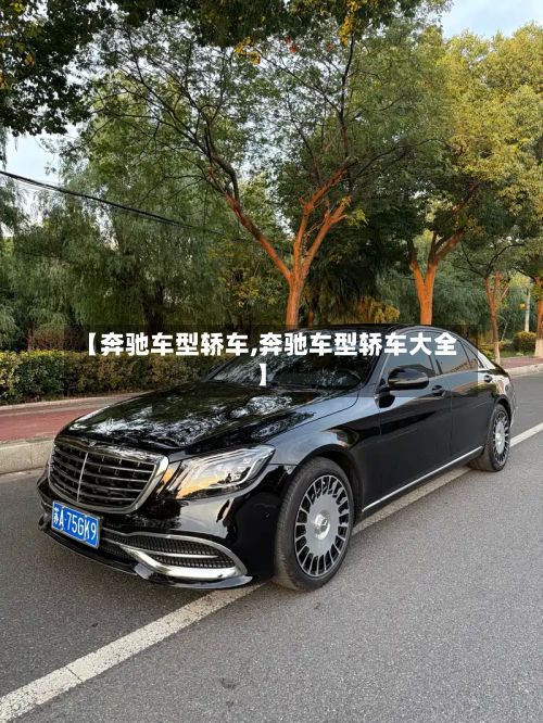【奔驰车型轿车,奔驰车型轿车大全】-第2张图片