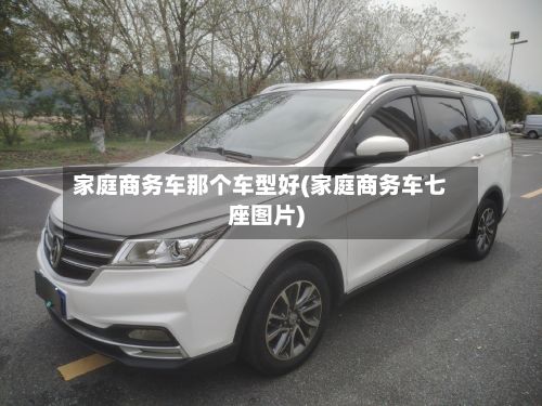 家庭商务车那个车型好(家庭商务车七座图片)-第2张图片