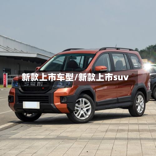新款上市车型/新款上市suv-第2张图片