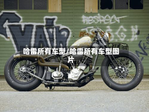 哈雷所有车型/哈雷所有车型图片
